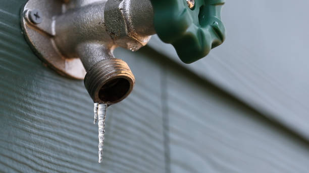 Best Residential Plumbing Services  in Adel, GA